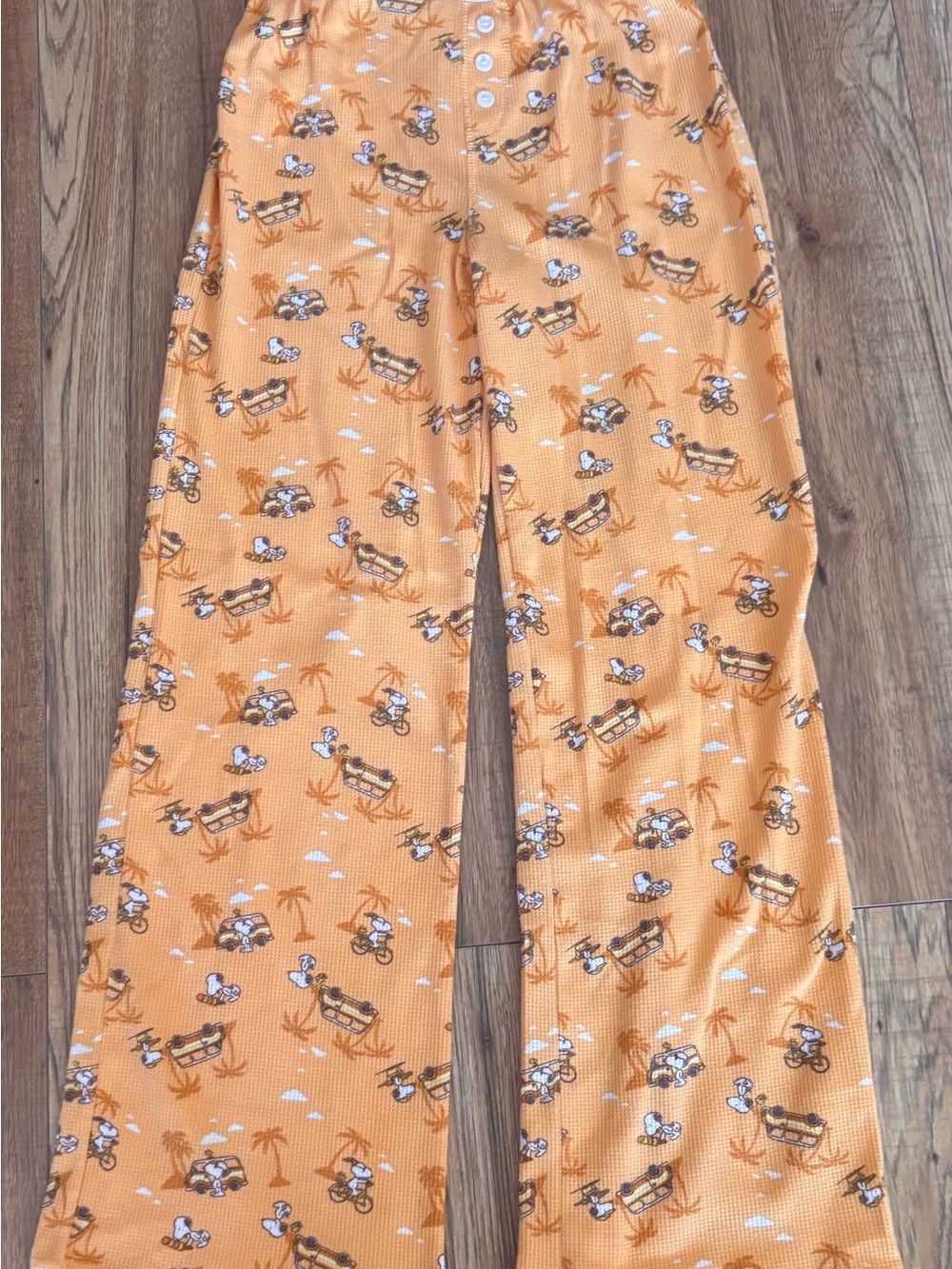 Snoopy Pj Pants